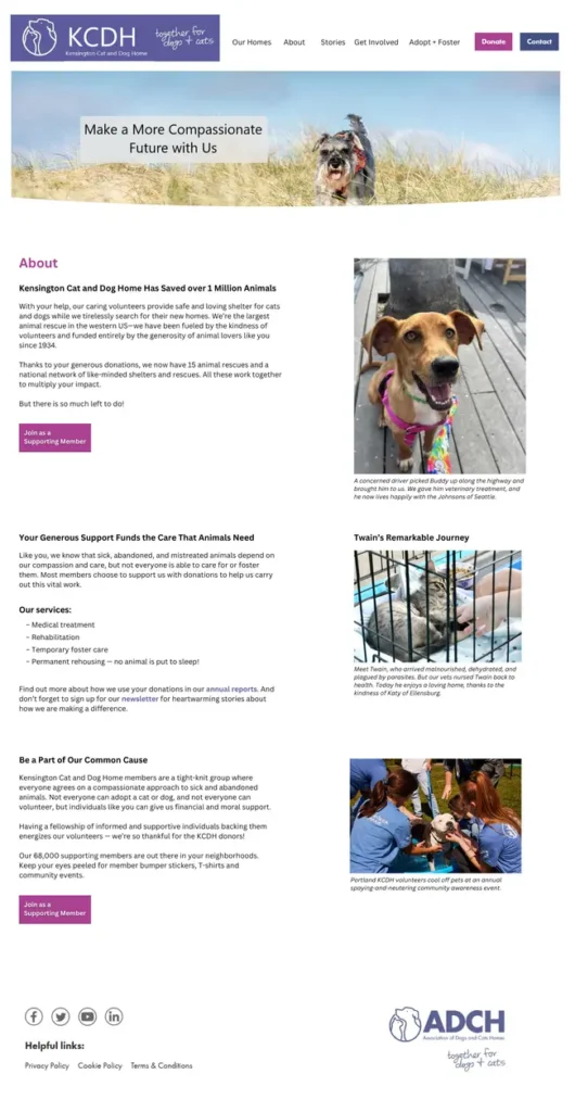 Medium-sized image of Kensington Cat and Dog home about page mockup.