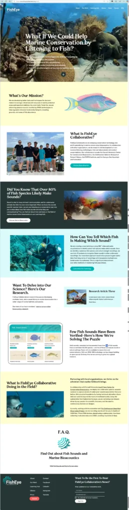 Home page with web copy in finished design.